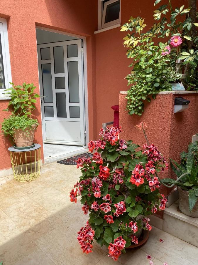 Apartments Zala Matusan スペタルスカ・ドラガ エクステリア 写真