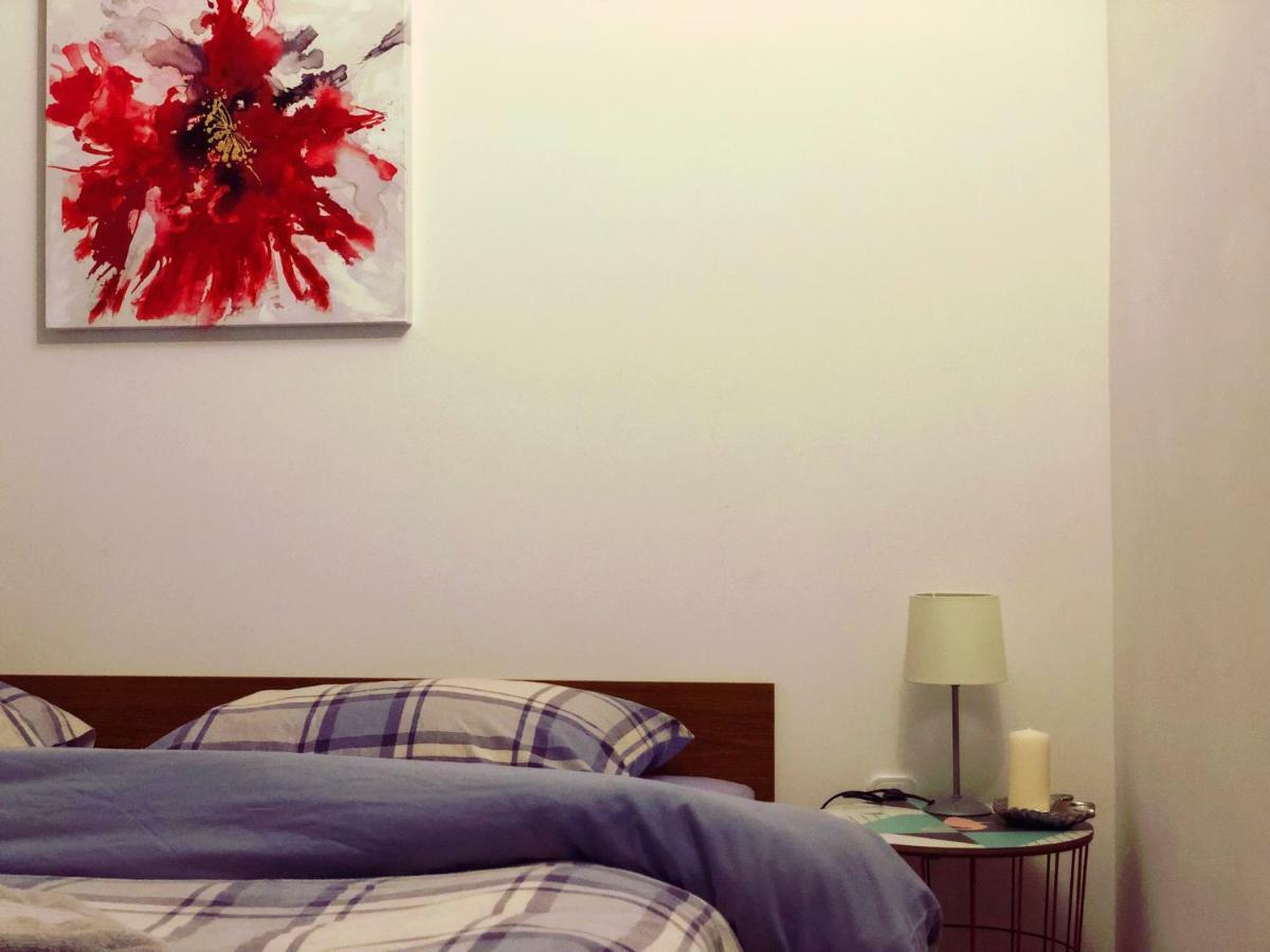 Apartments Zala Matusan スペタルスカ・ドラガ エクステリア 写真
